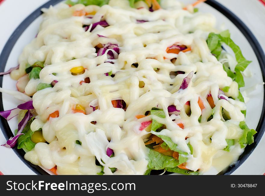 Fresh vegetable salad dressed with mayonnaise