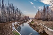 Spring Landscape With An Irrigation Canal And Poplar Trees On Both Sides. Stock Photography