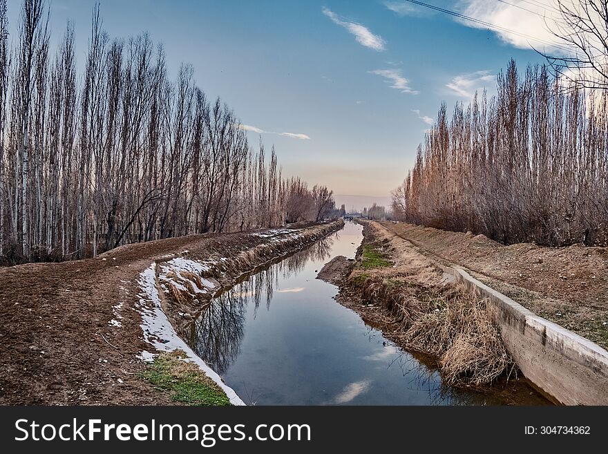 Spring landscape with an irrigation canal and poplar trees on both sides.