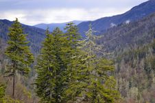Smoky Mountains Stock Photography