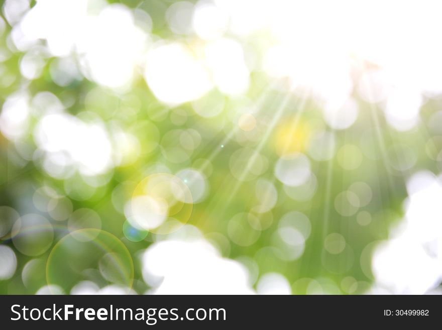 Spring abstract and nature background. Spring abstract and nature background