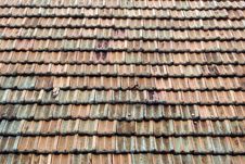 Dutch Tiles On The Roof Royalty Free Stock Photography Dutch Tiles On The Roof Royalty Free Stock Photography