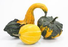 Three Colorful Pumpkins Stock Image Three Colorful Pumpkins Stock Image