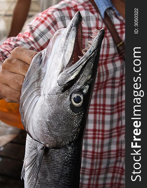 A man holding a fish head close up.