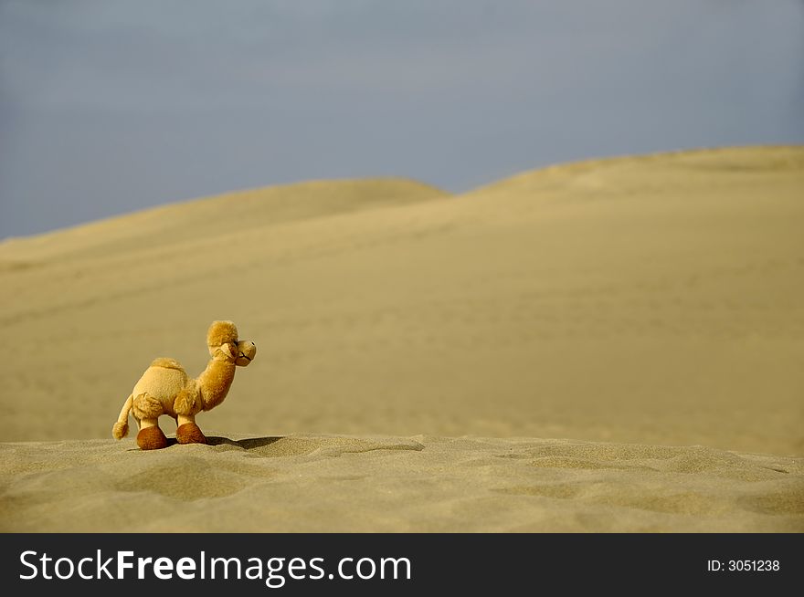 A toy dromedar in the desert. A toy dromedar in the desert