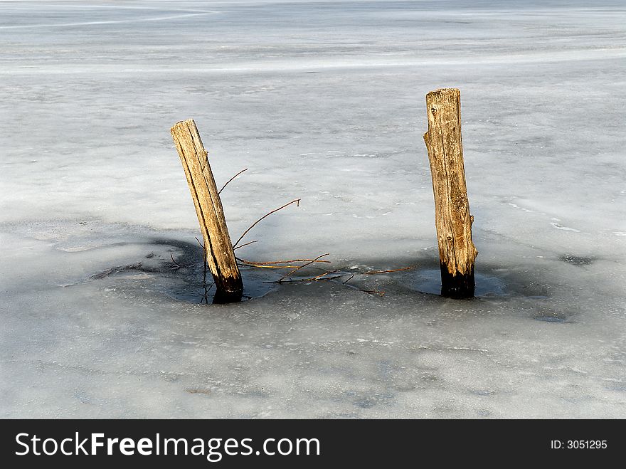 The rests of two trees in frozen lake. The rests of two trees in frozen lake