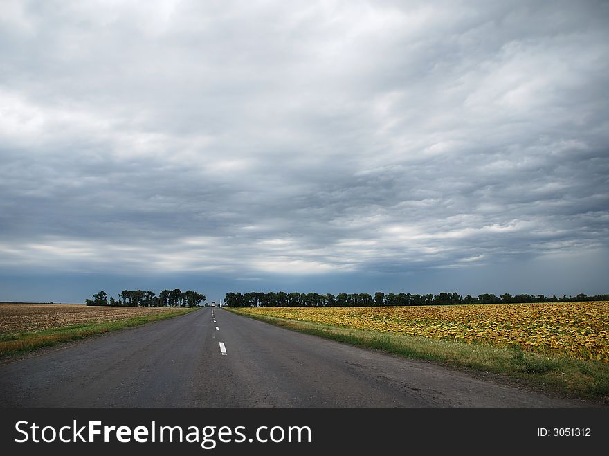 The road through sunflower field and the thunderstorm sky