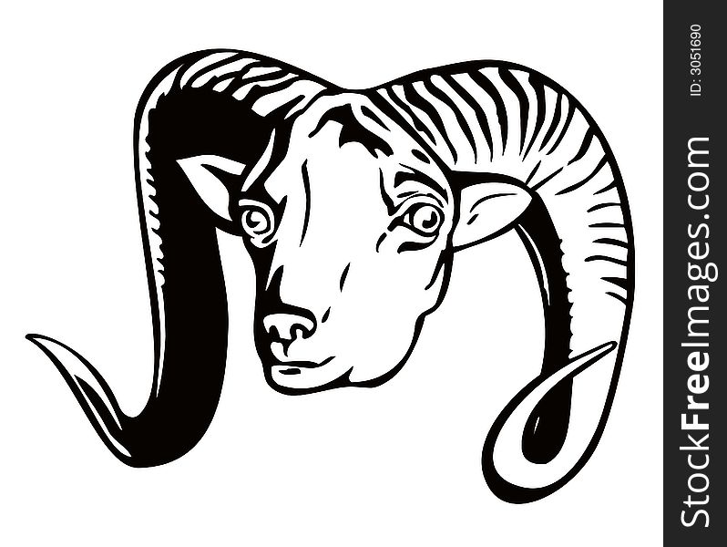 Vector art of an Argali mountain sheep