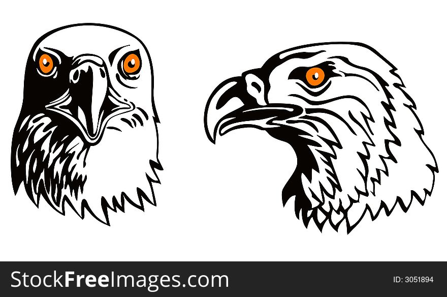 Vector art of an American bald eagle on white background