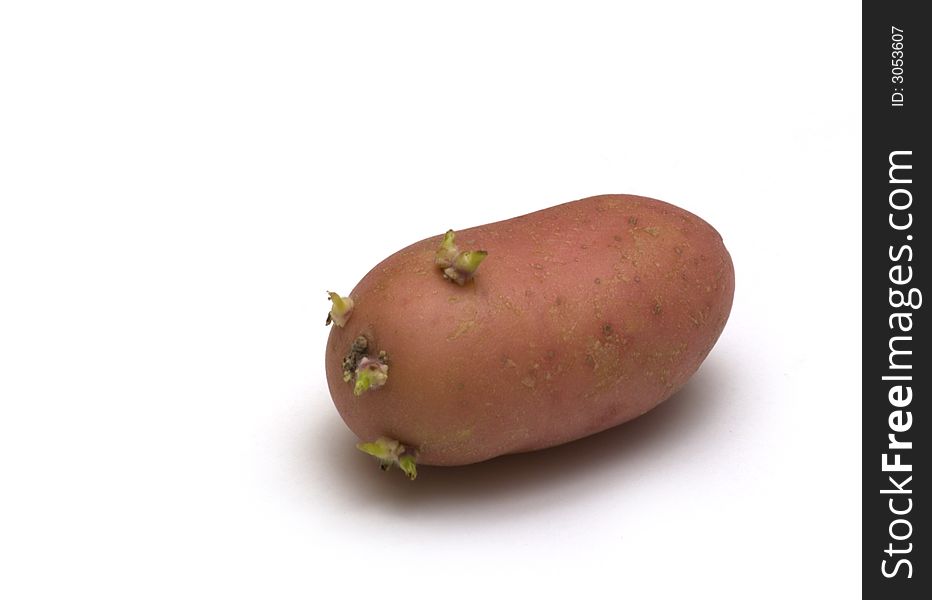 Red potato on white background