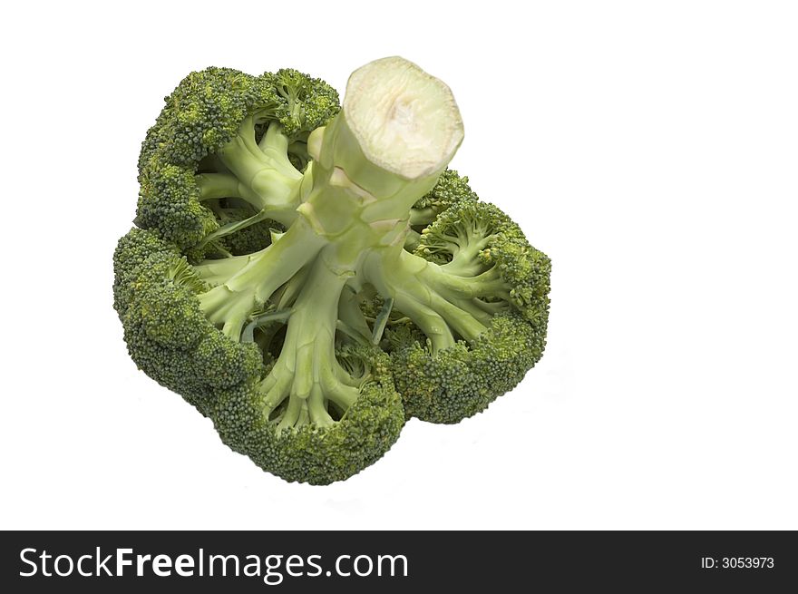 Broccoli se tenant comme un arbre d'isolement sur le fondblanc