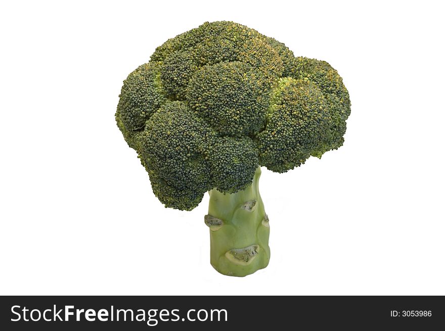 Broccoli se tenant comme un arbre d'isolement sur le fondblanc