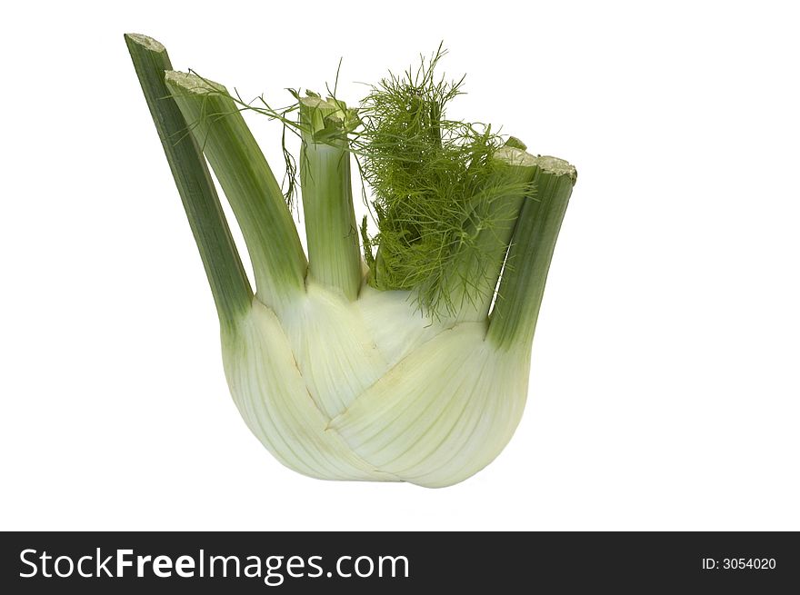 Fresh fennel grub isolated on white background