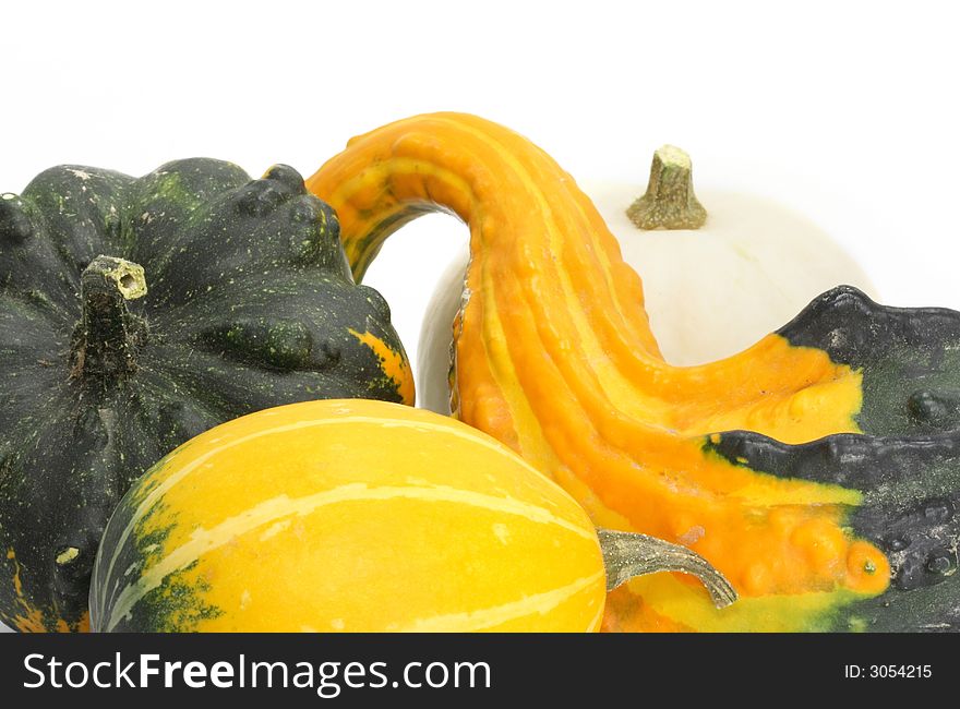 Four colorful pumpkins on white background