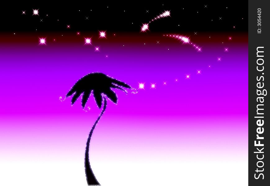 A lonely palm in a stargazed night