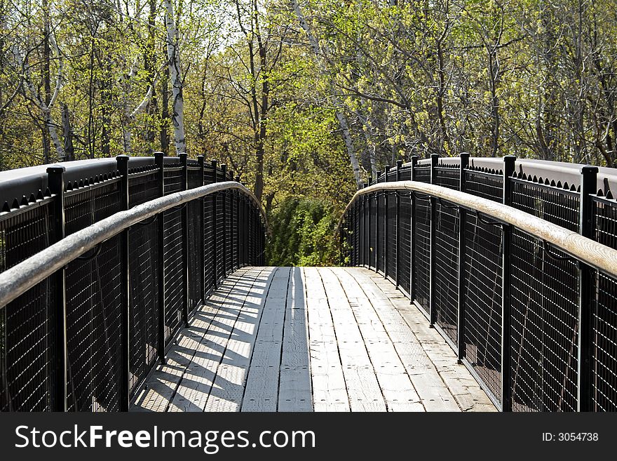 Small wooden bridge leading to a forest.