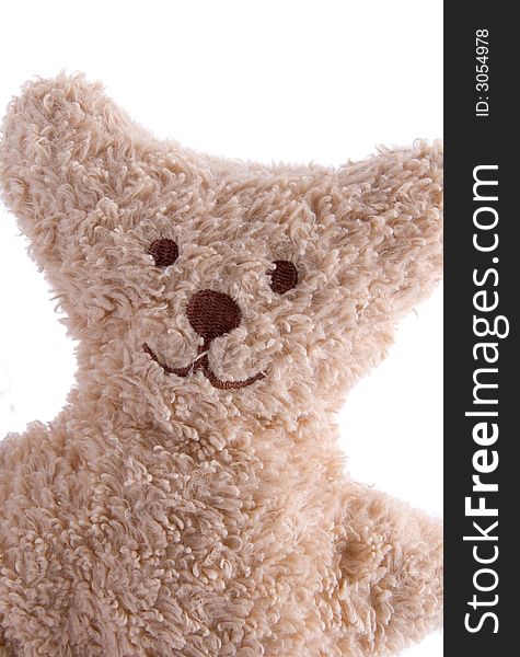 Portrait of a teddy bear on a white background