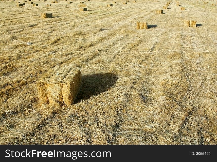 Straw bale after harvesting the cereal