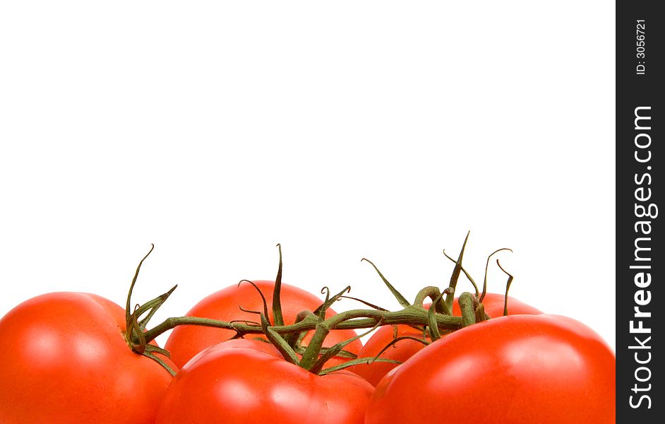 Red juicy tomatoes on a white background