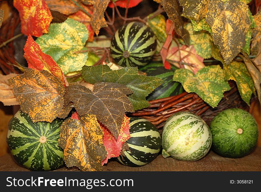 View of shapes and colours decorative cucurbit, as symbol autumn. View of shapes and colours decorative cucurbit, as symbol autumn
