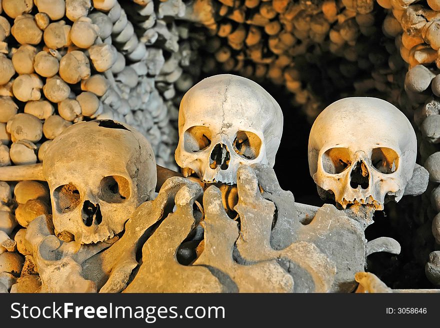 Human sculls, bones and skeletons
