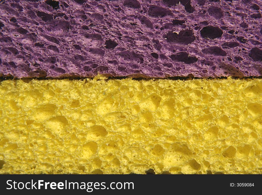 Side view of Yellow and purple sponges