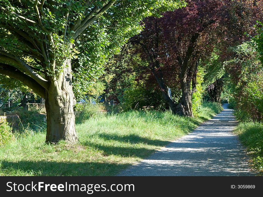 Footpath in the park/river. beside the small river left in the picture.