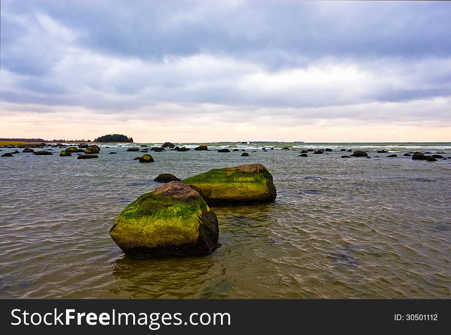 Coast of the Baltic Sea. Coast of the Baltic Sea.