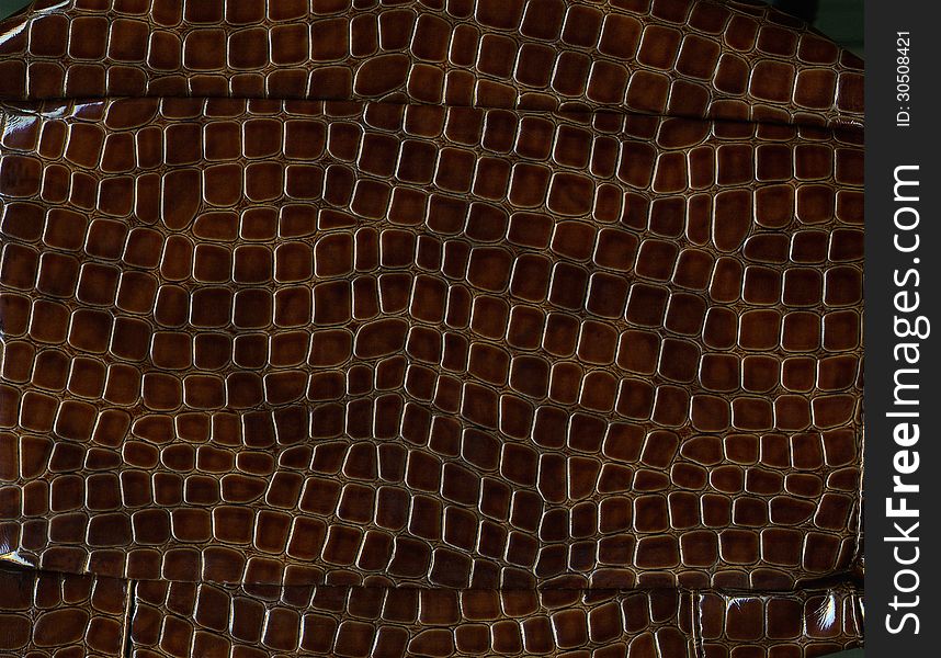 Lacquered dark brown crocodile leather