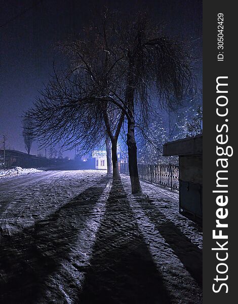 Nighttime vertical shot in winter with long shadows from trees.