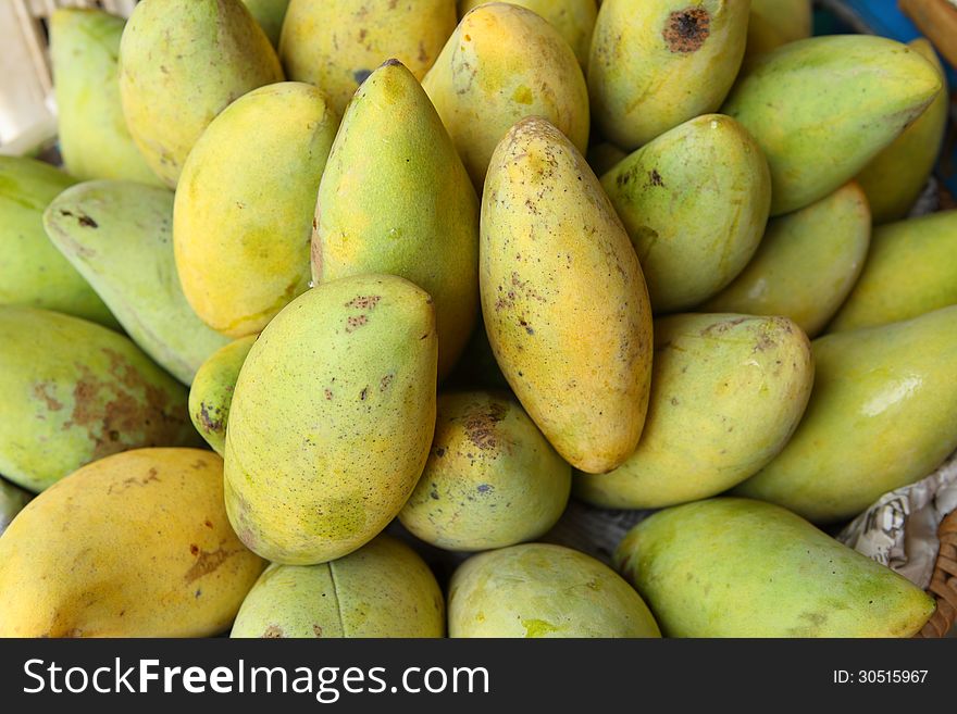 Many of the mango fruit was placed in a basket. Many of the mango fruit was placed in a basket.