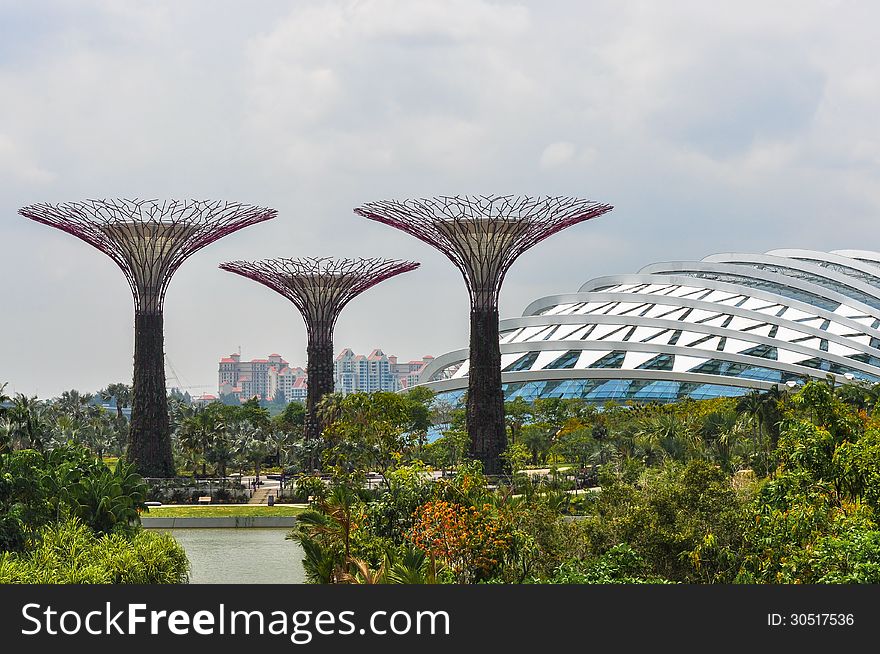 Supertree Grove and Modern Architecture