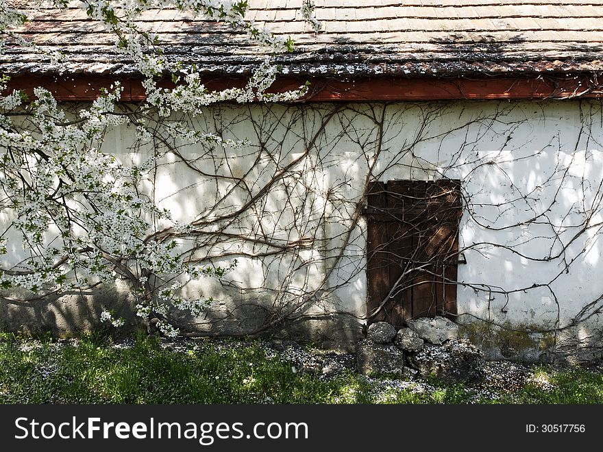 Abandoned House