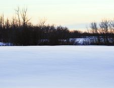 Winter On The Prairie Stock Photography