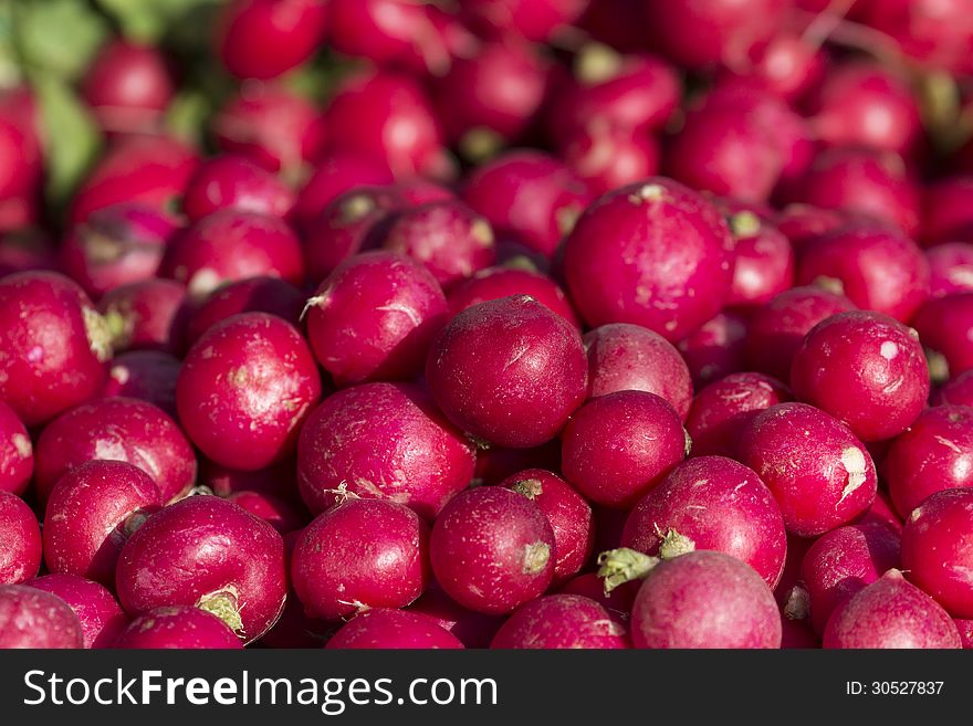 A large pile of freshly harvested radish at a farmers market