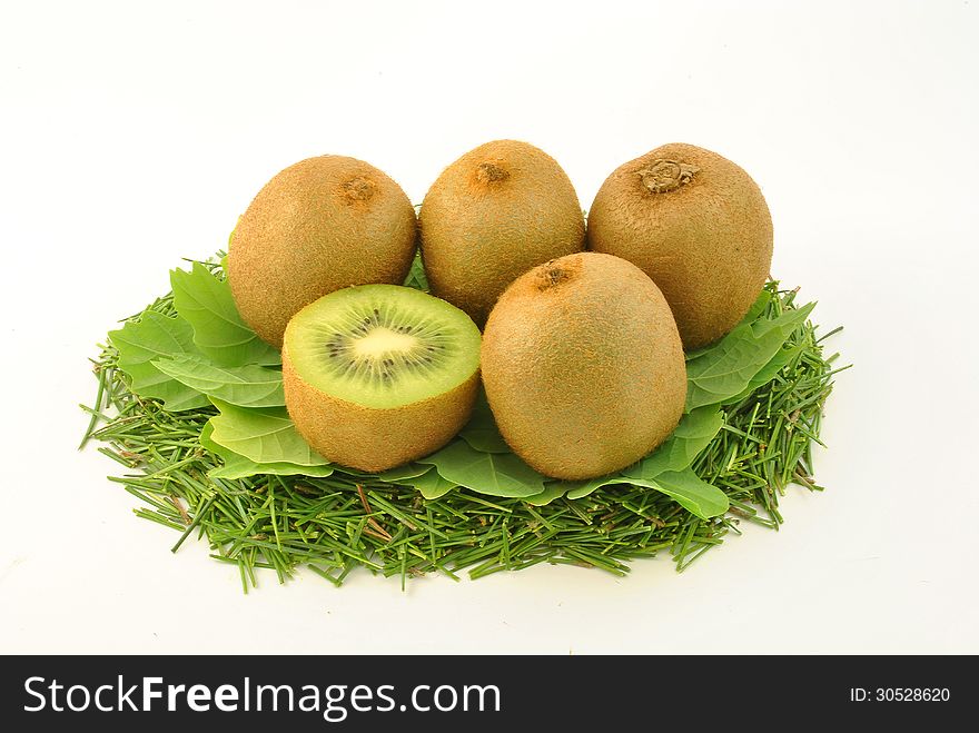 Some kiwi on a green oak leaves on a white background