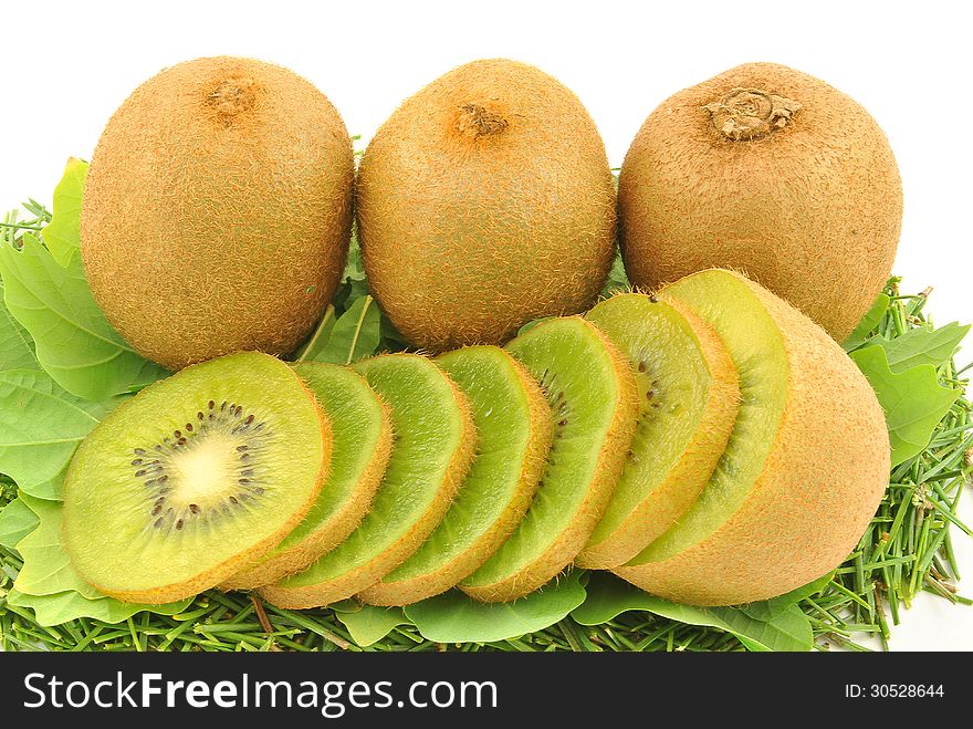 Some kiwi on a green oak leaves on a white background