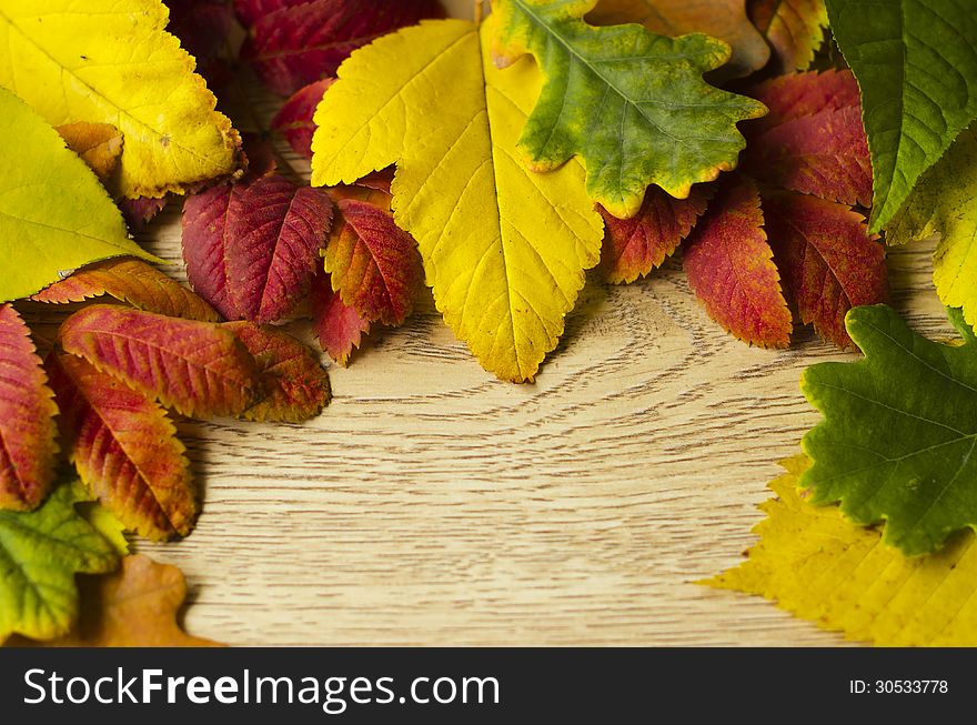 Autumn leaves over wooden background
