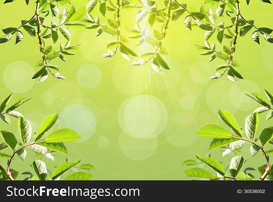 Abstract spring green background with bokeh lights. Abstract spring green background with bokeh lights