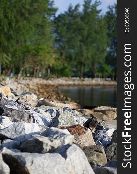 Foreground of breakwater rocks with trees on the background. Foreground of breakwater rocks with trees on the background