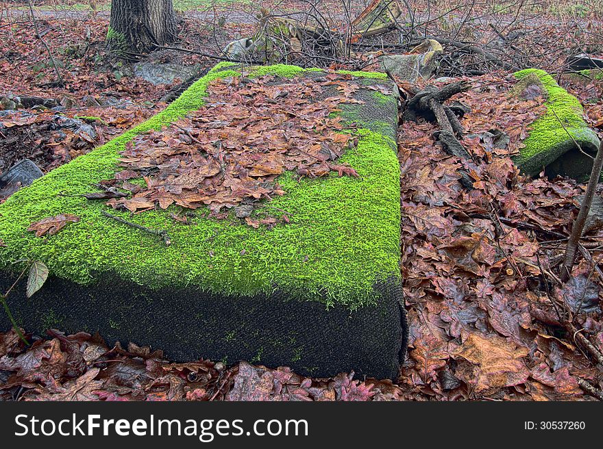 Abandoned mattress under old leaves in the woods