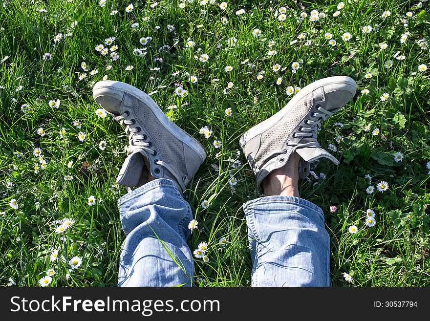 Feet of the person lying in a meadow of daisies. Feet of the person lying in a meadow of daisies