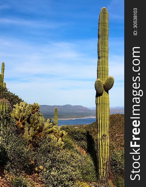 Looking out from the Tonto National Monument. Looking out from the Tonto National Monument