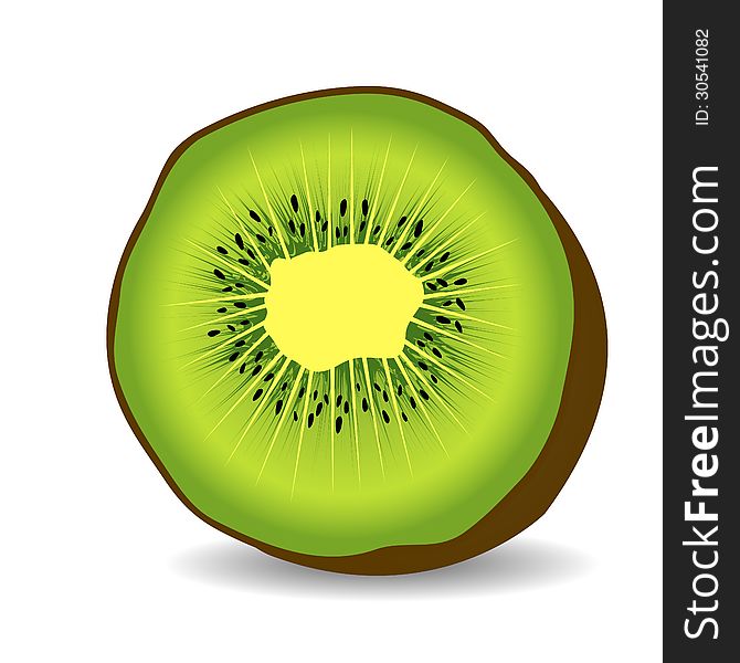 Vector realistic kiwi fruit illustration. Vector realistic kiwi fruit illustration