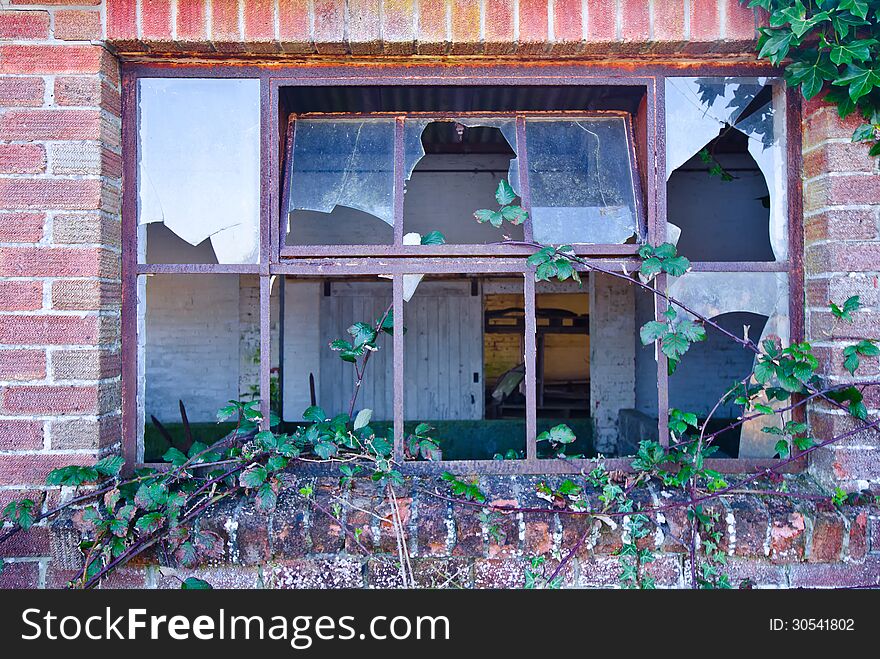 Overgrown Windows of the abandoned. Overgrown Windows of the abandoned
