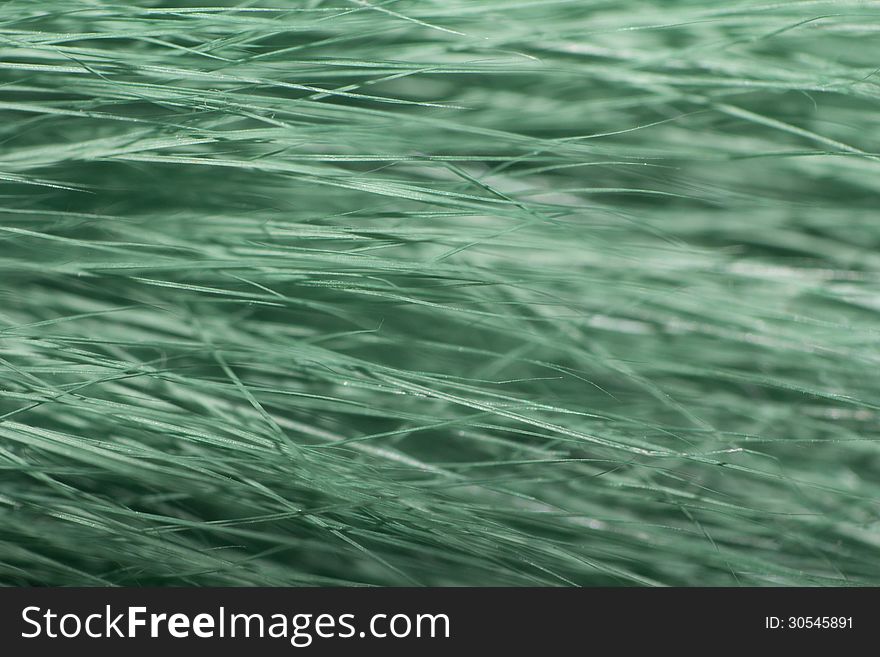 Green fur. abstract macro photography