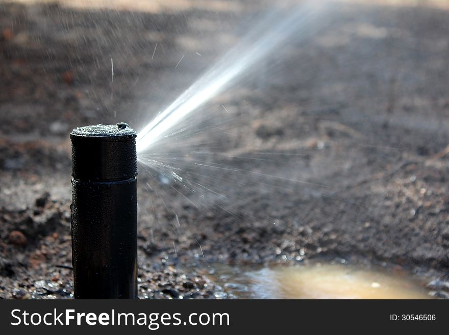 Garden irrigation system watering seeded soil