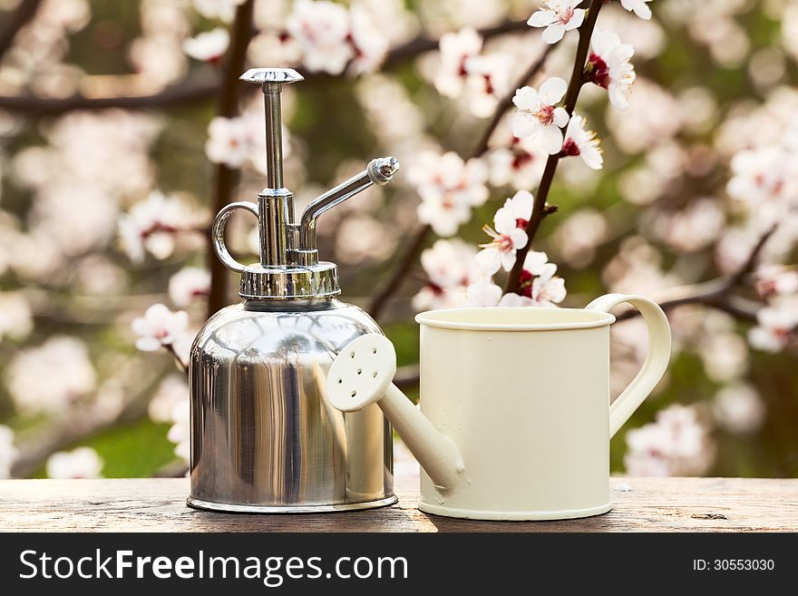 Small sprayer and watering can on the background a blossoming tree