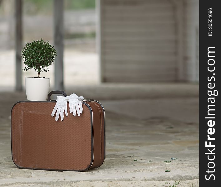 Old fashioned suitcase, white gloves and myrtle tree on the abandoned bus stop. Old fashioned suitcase, white gloves and myrtle tree on the abandoned bus stop