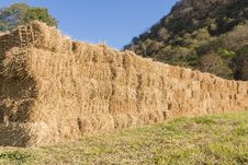 Field With Bales Of Hay Royalty Free Stock Images Field With Bales Of Hay Royalty Free Stock Images